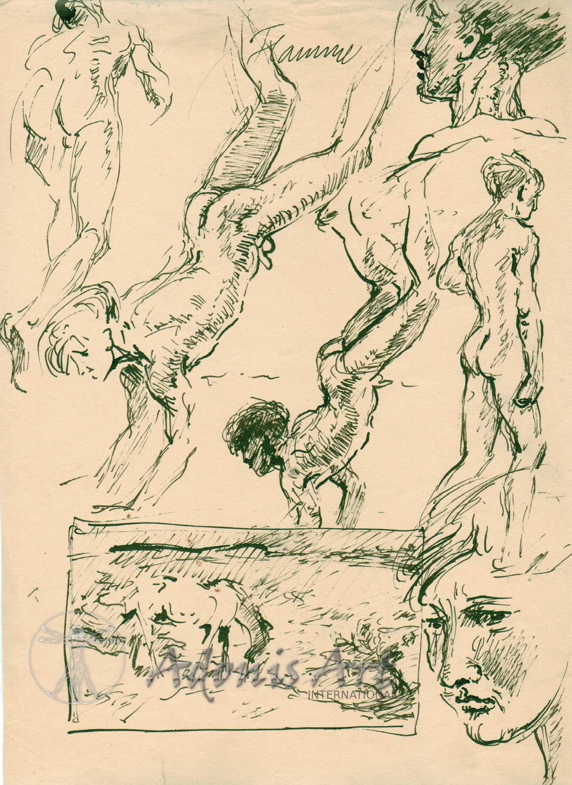 'Handstand Studies' by Wilhelm Heinrich Focke