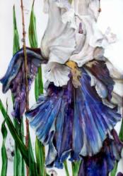 Thumbnail image: 'Blue Gladiolus' by Kirill Fadeyev