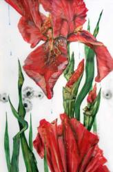 Thumbnail image: 'Irises' by Kirill Fadeyev