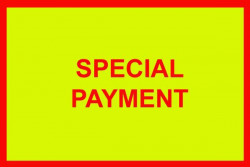 Thumbnail image: Special Payment for AMB