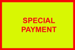 Thumbnail image: Special Payment for AG - Payment 3